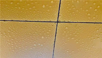 2024年广东3月份还会回南天吗2