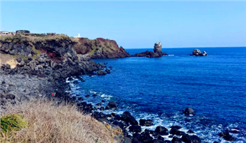 2024年3月份去济州岛冷不冷1