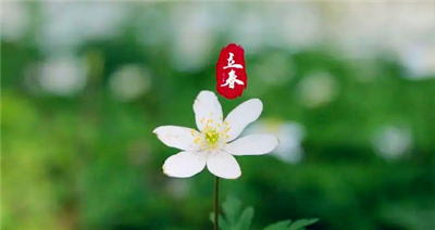 2024年立春之后还会冷吗3