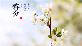 2024年春分过后还会冷吗3