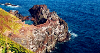 2024年3月份去济州岛冷不冷2