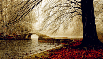 2024年大连4月份是不是雨季2