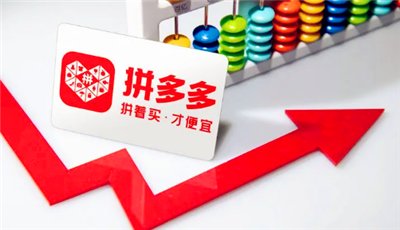 拼多多退款运费险没有了怎么回事1