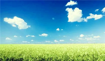 2024年五一过后是不是夏天3