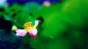 2024年五六月是梅雨季节吗3