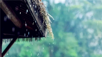 2024年武汉什么时候进入梅雨季1