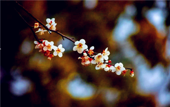 2024年躲春几点到几点结束3