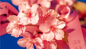 2024年武汉3月份温度大概是多少3