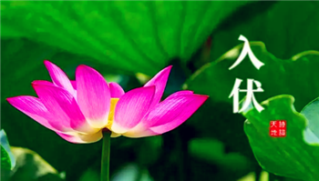 今年夏天入伏是几月几号20242