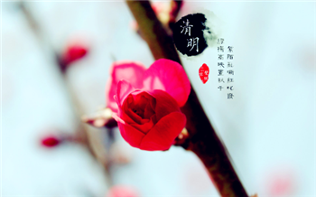 2024清明节补哪天的课1