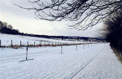 河南2月份会下雪吗1