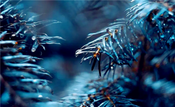 2024年武汉三月份是雨季吗1