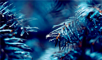 2024年深圳4月份下雨多吗1