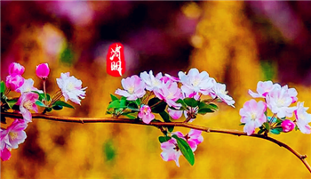 2024清明节收费站免费吗2