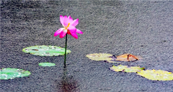 2024年武汉三月份是雨季吗2