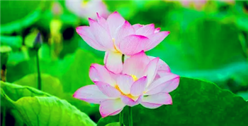 2024广东夏天什么时候开始3