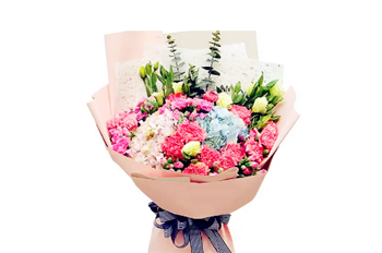 三八妇女节可以送康乃馨吗3