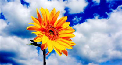 2024年四月份过完清明节就暖和了吗3