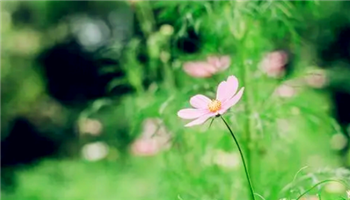 2024年北京五月份很热吗1