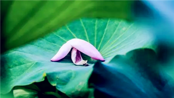 武汉今年什么时候入夏20241