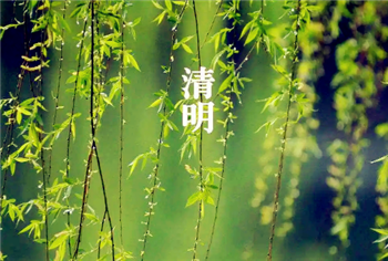 2024年清明节放假是几号到几号3