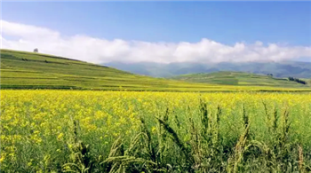 2024广东夏天什么时候开始1