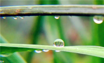 2024年北方是旱年还是涝年1