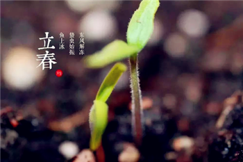 2024年打春是白天还是晚上2