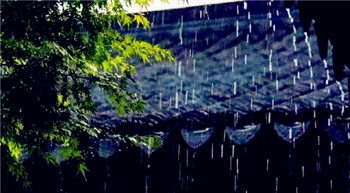 梅雨季节是每年的几月20241