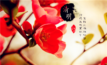 2024年清明节是农历几月几号1