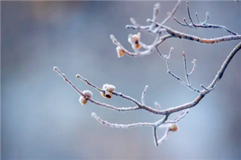 2024年腊月是几号到几号2