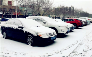 下雪天车子停在室外被树砸了谁的责任2