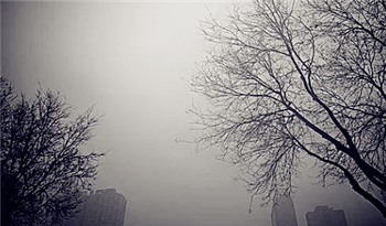 成都2月过后还有雾霾吗20242