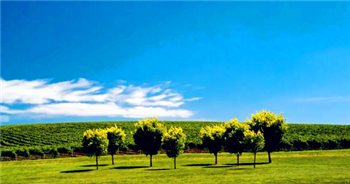 2024年北京夏天是几月到几月1