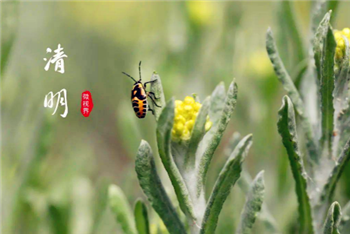 2024年清明节会降温吗2