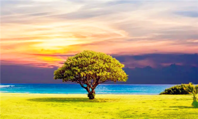 2024年四月份过完清明节就暖和了吗1