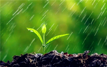 2024年北方是旱年还是涝年3