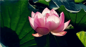 2024年北京五月份很热吗3