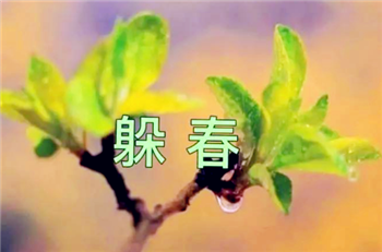 2024年立春哪些人要躲春1