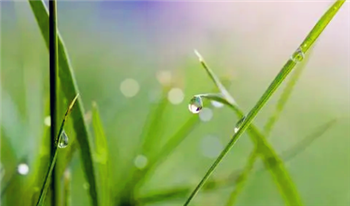 2024年北方是旱年还是涝年2